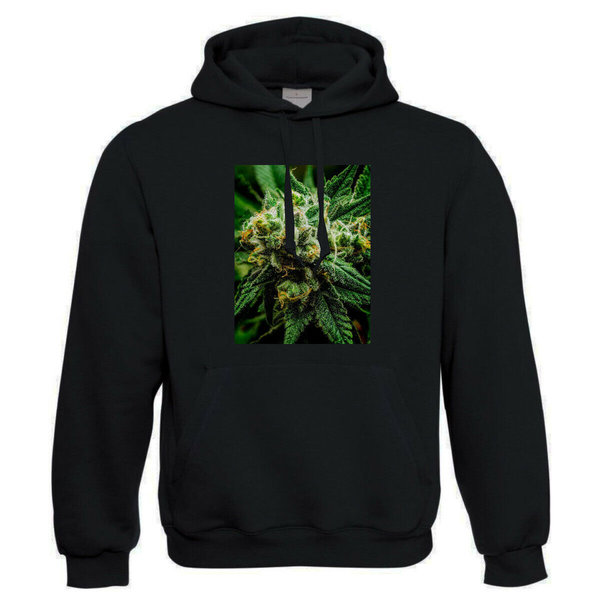 EAKS® Hoodie "Motiv: HEMP PLANT" Hoody Cannabis Pflanze Kapuzenpullover Weed Gras Hanf Ganja Kiffer