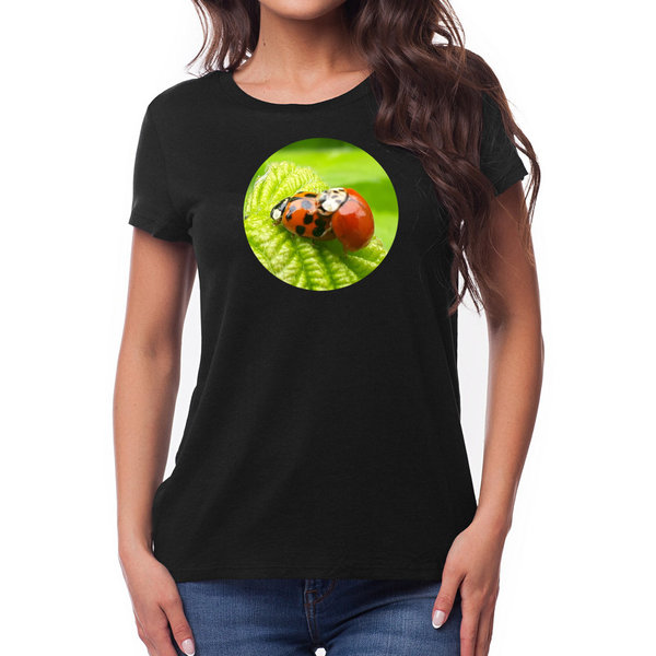 EAKS® Damen T-Shirt "Paarende Marienkäfer" (Coccinellidae)